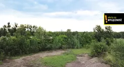 GH161008 - zdjęcie nr 3