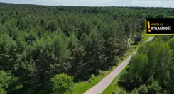 GH874845 - zdjęcie nr 2