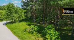 GH874845 - zdjęcie nr 4