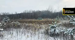 GH861428 - zdjęcie nr 2