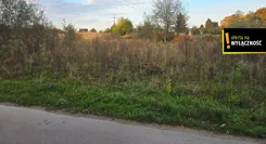 GH295926 - zdjęcie nr 3