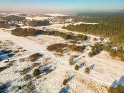 GH251095 - zdjęcie nr 2