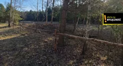 GH454840 - zdjęcie nr 0