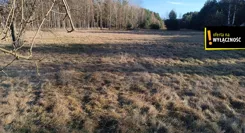 GH454840 - zdjęcie nr 4