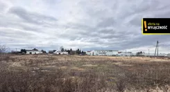 GH906887939 - zdjęcie nr 2