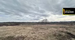 GH906887939 - zdjęcie nr 3
