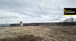 GH906887939 - zdjęcie nr 4