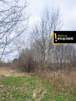GH150703 - zdjęcie nr 4