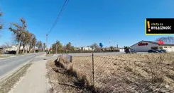 GH190236 - zdjęcie nr 4