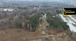 GH275376 - zdjęcie nr 4