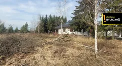 GH949581 - zdjęcie nr 1