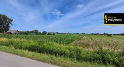 GH269522 - zdjęcie nr 2