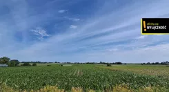 GH269522 - zdjęcie nr 3
