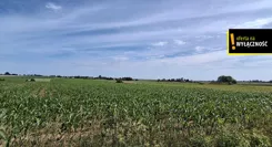 GH269522 - zdjęcie nr 4
