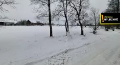 GH881913 - zdjęcie nr 1