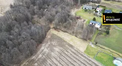GH286020422 - zdjęcie nr 1
