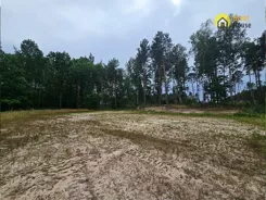 GH655881 - zdjęcie nr 2