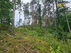 GH425444 - zdjęcie nr 3
