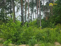 GH425444 - zdjęcie nr 4