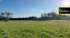 GH127956 - zdjęcie nr 0