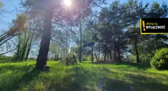 GH138512 - zdjęcie nr 2