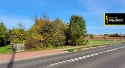 GH532437 - zdjęcie nr 3