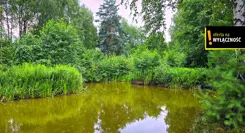 GH542887 - zdjęcie nr 3