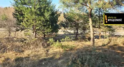 GH142638 - zdjęcie nr 1