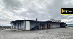 GH533858770 - zdjęcie nr 1