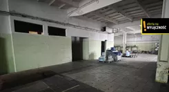 GH533858770 - zdjęcie nr 4