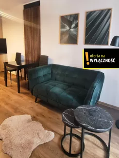 GH508918 - zdjęcie nr 2
