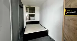 GH557566 - zdjęcie nr 2