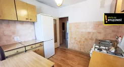 GH500556 - zdjęcie nr 3