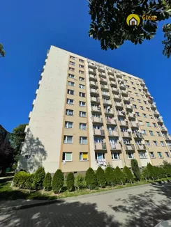 GH774480 - zdjęcie nr 0