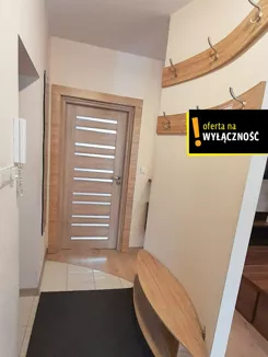 GH518377 - zdjęcie nr 2