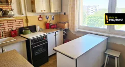 GH736827 - zdjęcie nr 2