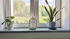 GH606993 - zdjęcie nr 2