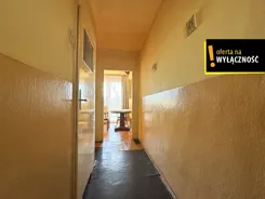 GH555811 - zdjęcie nr 4