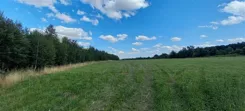 181/14328/OGS - zdjęcie nr 4