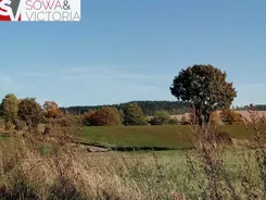 710/14328/OGS - zdjęcie nr 0
