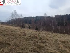 749/14328/OGS - zdjęcie nr 3