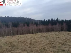 749/14328/OGS - zdjęcie nr 4
