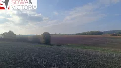 855/14328/OGS - zdjęcie nr 3