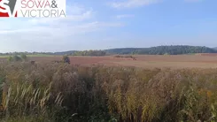 855/14328/OGS - zdjęcie nr 5