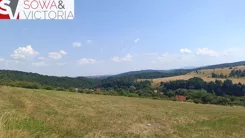 844/14328/OGS - zdjęcie nr 0