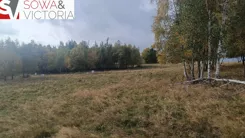 861/14328/OGS - zdjęcie nr 3