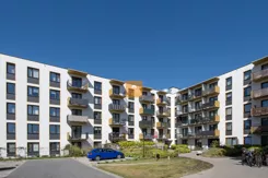779640392 - zdjęcie nr 0