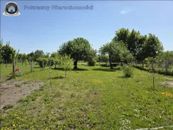 12407-POL - zdjęcie nr 4