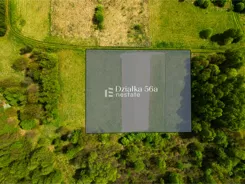 NEO339221 - zdjęcie nr 0