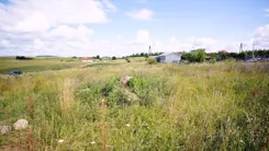 1299 - zdjęcie nr 4